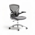 Mesh ergonomic office chair with adjustable height and armrests silver and gray color